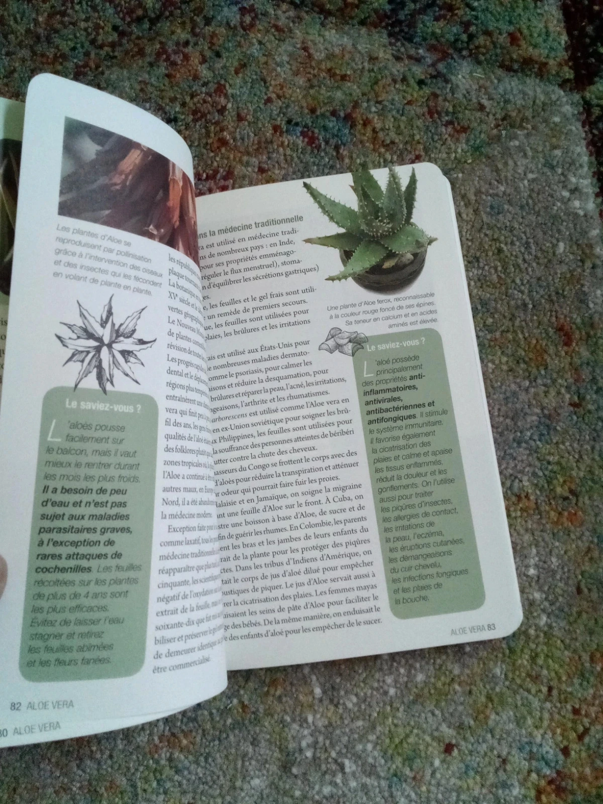 Aromatherapie aloe Vera Bach-bloesems – photo 9